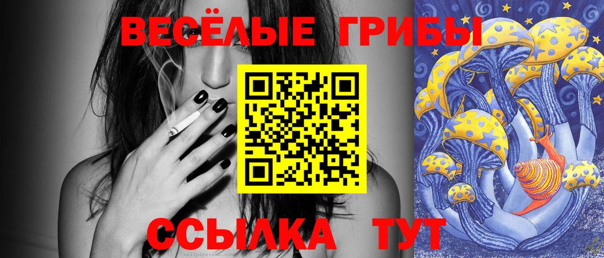 Галлюциногенные грибы Psilocybe  Галлюциногенные грибы ЛСД  Вход с VPN  Прокопьевск 
